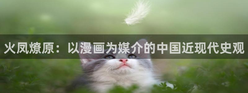 香蕉漫画免费观看：火凤燎原：以漫画为媒介的中国近现代史观
